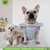 Áo lửng bèo | OMP