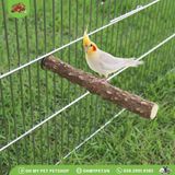 Cây gỗ đứng cho chim | OMP