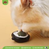 Chim cánh cụt catnip cho mèo | OMP