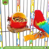 Quả trái cây đựng thức ăn chim | OMP