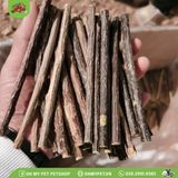 Cành táo snack cho thú nhỏ | OMP