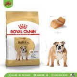 ROYAL CANIN | Thức ăn hạt cho Bulldog