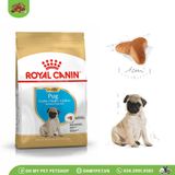 ROYAL CANIN | Thức ăn hạt cho chó Pug