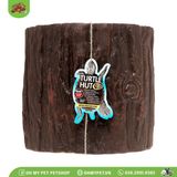 Hang rùa | Turtle Hut | ZOOMED