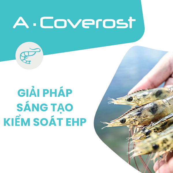 A-COVEROST