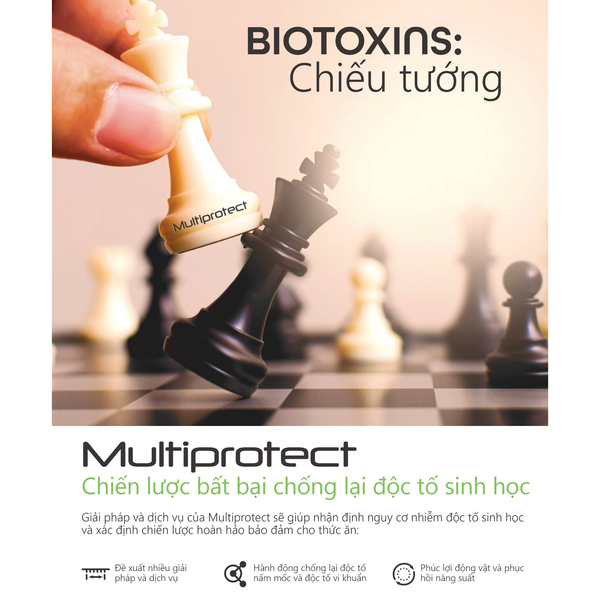 MULTIPROTECT Y