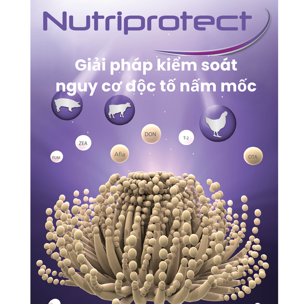 NUTRIPROTECT