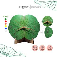 Đồng hồ lá sen Ecolotus