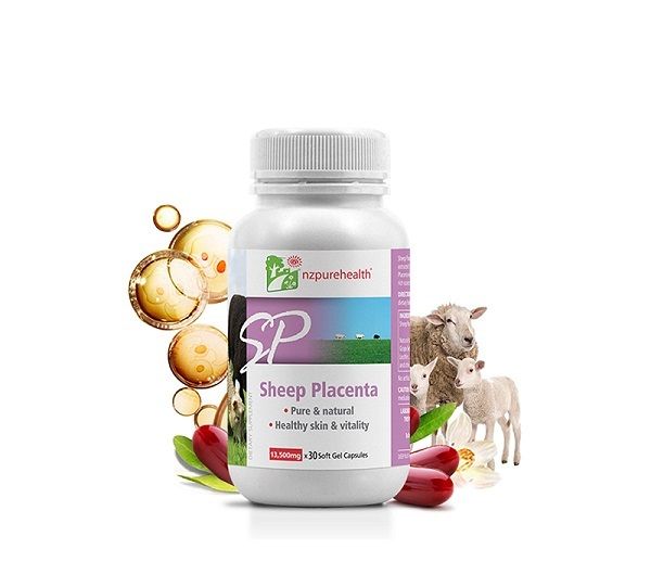 VIÊN UỐNG NHAU THAI CỪU SHEEP PLACENTA