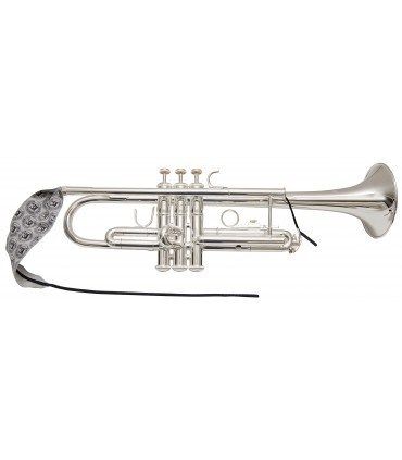 Khăn lau Lead Pipe kèn Trumpet Microfiber BG A31T