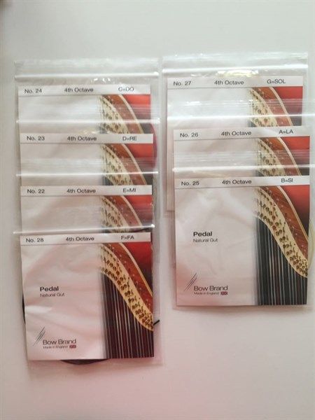 Set Dây đàn Pedal harp Bow Brand 4 Octave Gut E-F