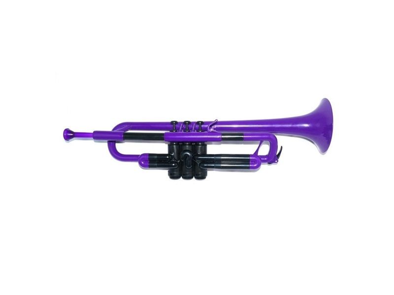  Bb Trumpet Plastic Purple 