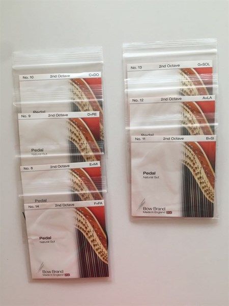 Set Dây đàn Pedal harp Bow Brand 2 Octave Gut E-F