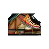  Grand Piano Petrof Standard Series Grand P194 Storm 