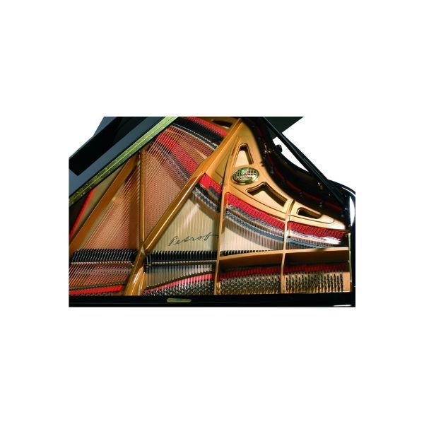  Grand Piano Petrof Standard Series Grand P194 Storm 