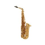  Selmer Jubilee SA80 II GG 