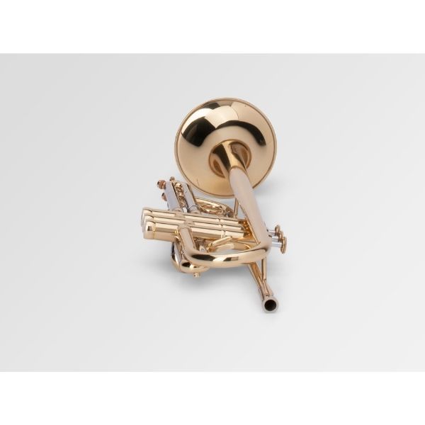 Kèn Trumpet Bb Adams Prologue (Laquered)