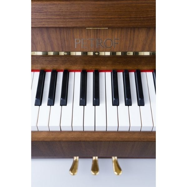  Upright Piano Petrof P 118 P1 