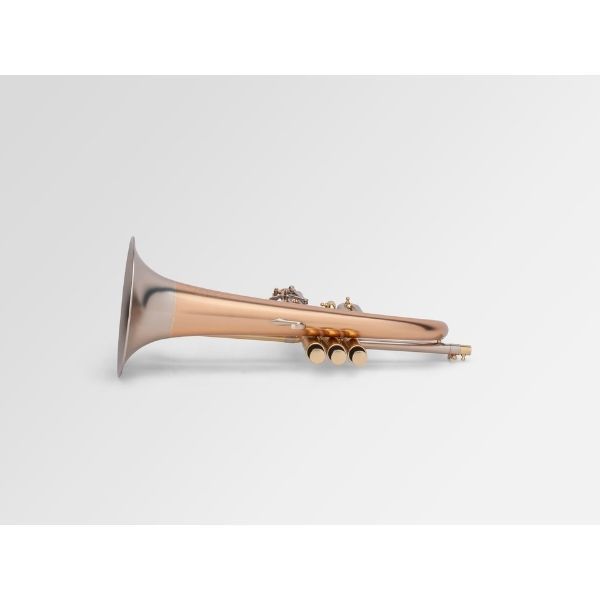 Kèn Flugelhorn Adams F1 (Satin Lacquered, Included case Adams)