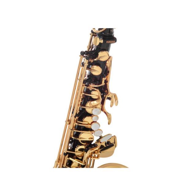 Kèn Saxophone Alto Yamaha YAS-875EXB