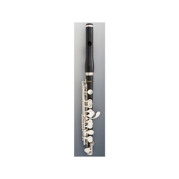 Kèn Piccolo Bulgheroni 401-R-GS Grenadille