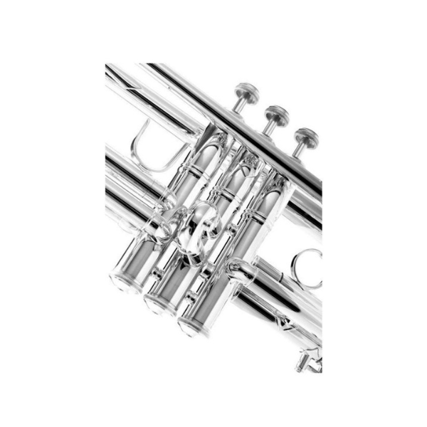 Kèn Trumpet Bb Trumpet Vincent Bach 180S-37