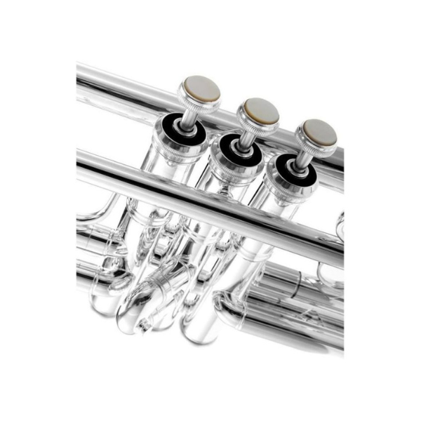 Kèn Trumpet Bb Trumpet Vincent Bach 180S-37