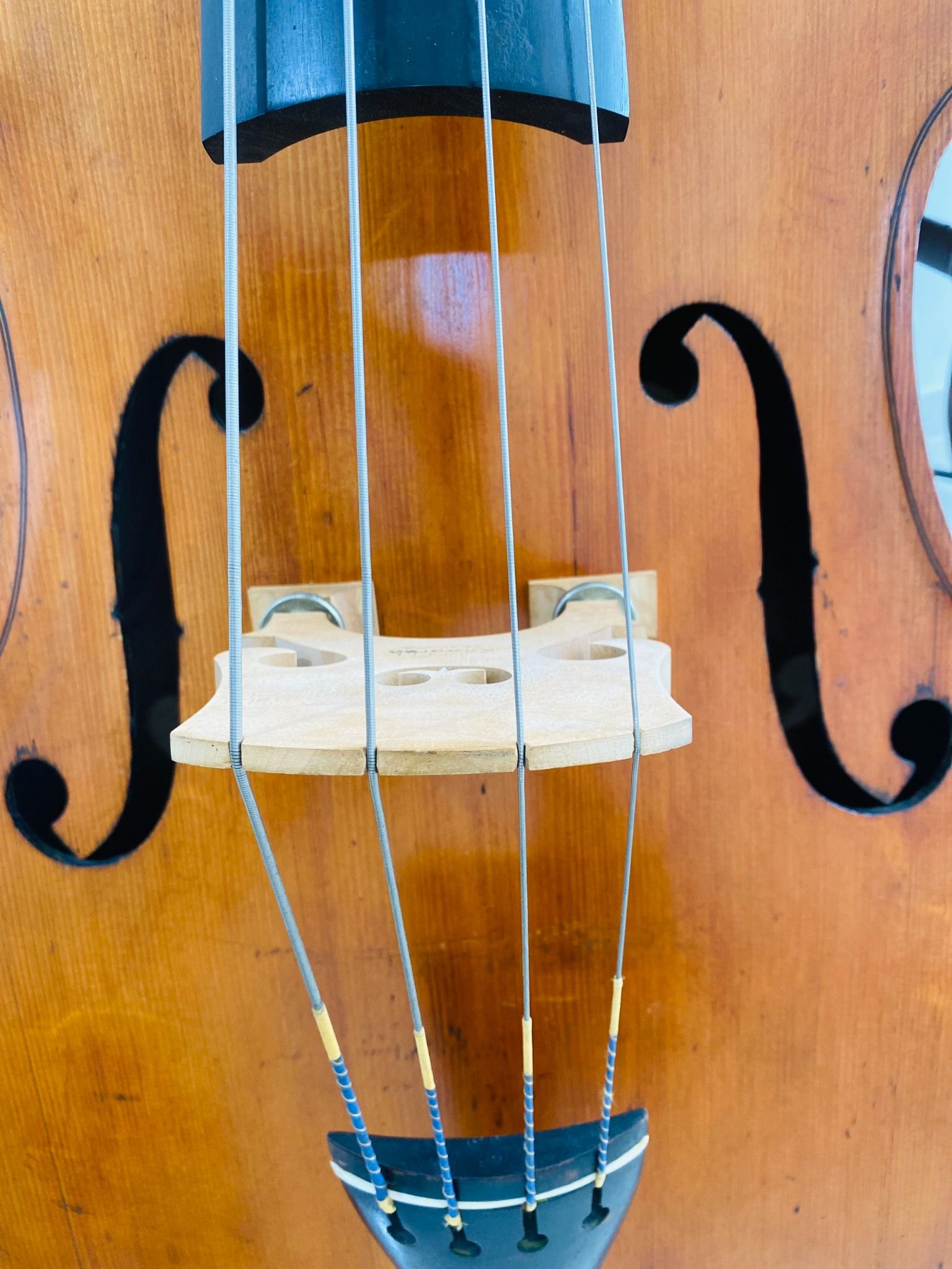 Đàn Contrabass Knooren (Bao gồm Cover, Bow, Rosin, Dây đàn Pirastro, Hộp cứng gỗ)