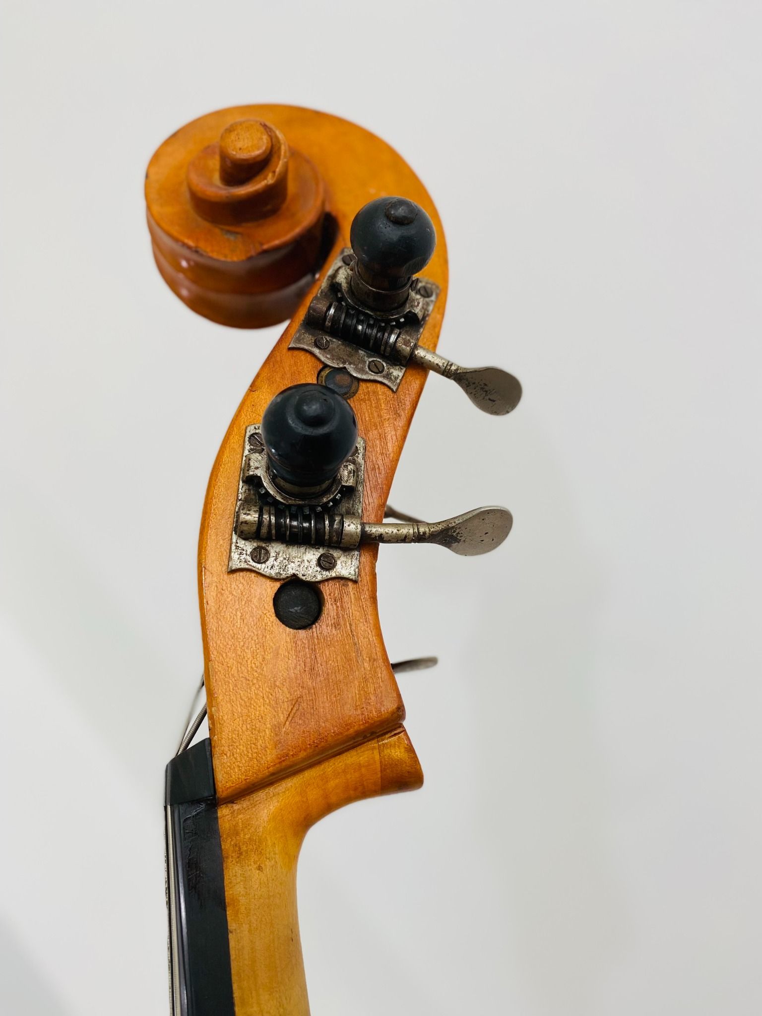 Đàn Contrabass Knooren (Bao gồm Cover, Bow, Rosin, Dây đàn Pirastro, Hộp cứng gỗ)