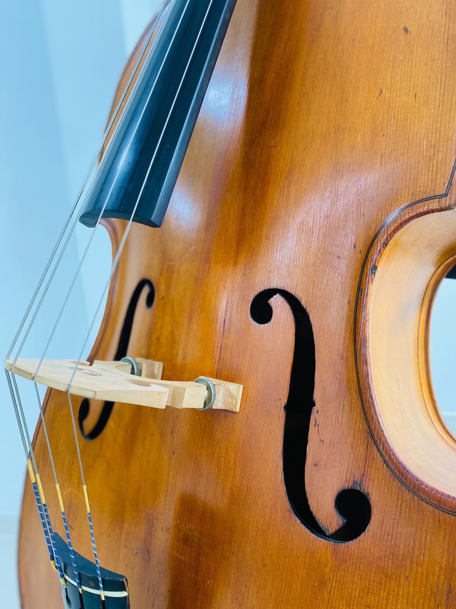 Đàn Contrabass Knooren (Bao gồm Cover, Bow, Rosin, Dây đàn Pirastro, Hộp cứng gỗ)