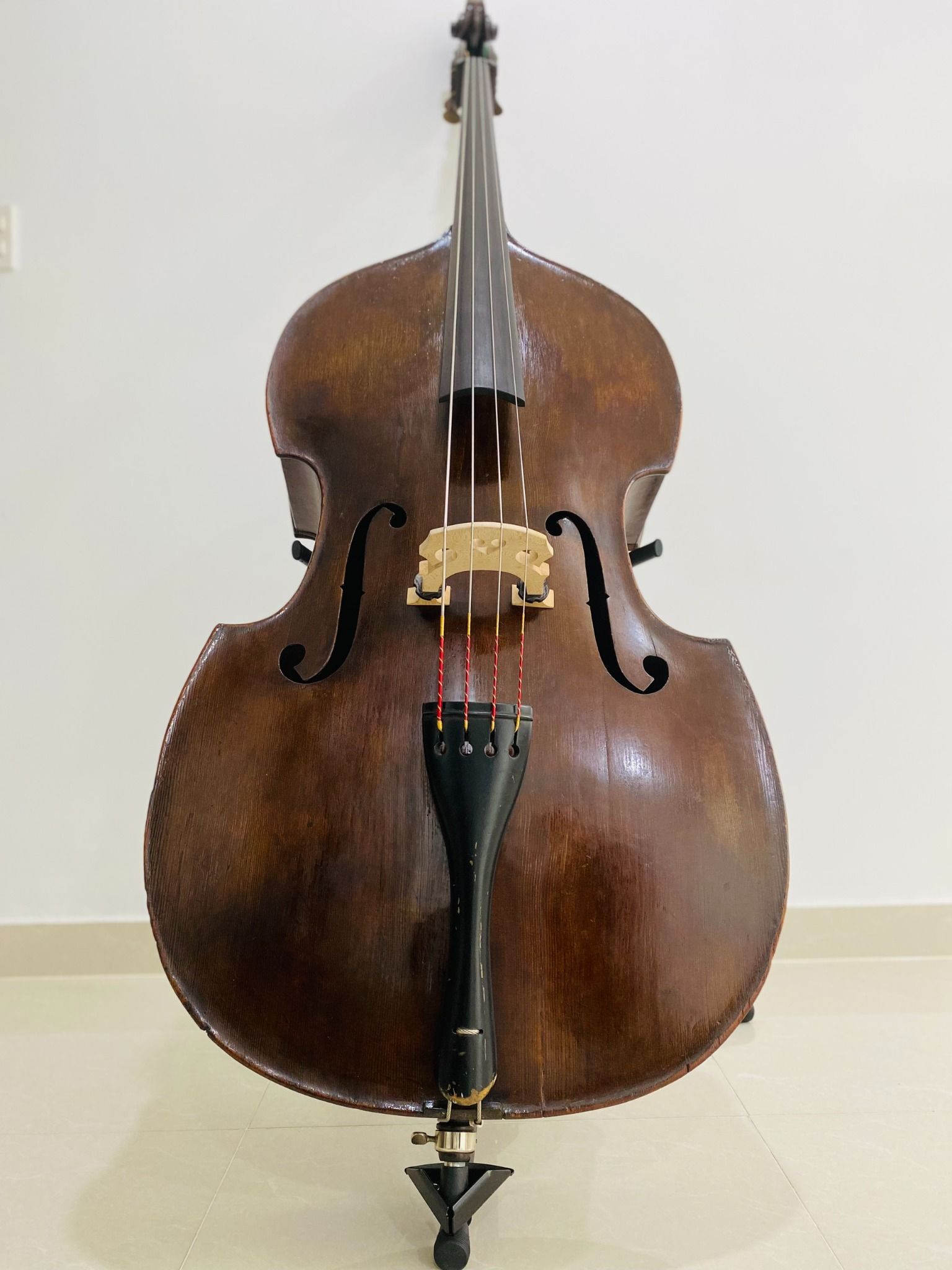 Đàn Contrabass Knooren (Bao gồm Cover, Bow, Rosin, Dây đàn Pirastro, Hộp cứng gỗ)