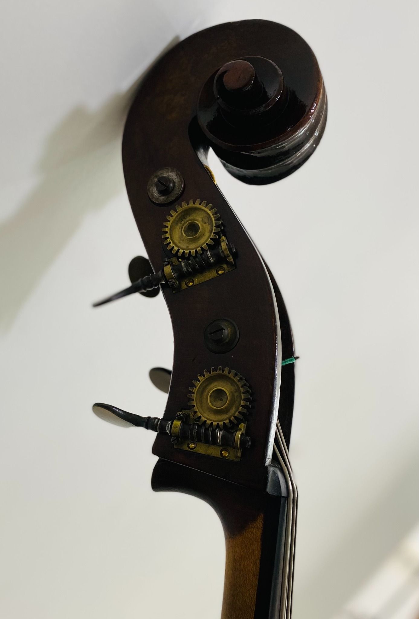 Đàn Contrabass Knooren (Bao gồm Cover, Bow, Rosin, Dây đàn Pirastro, Hộp cứng gỗ)
