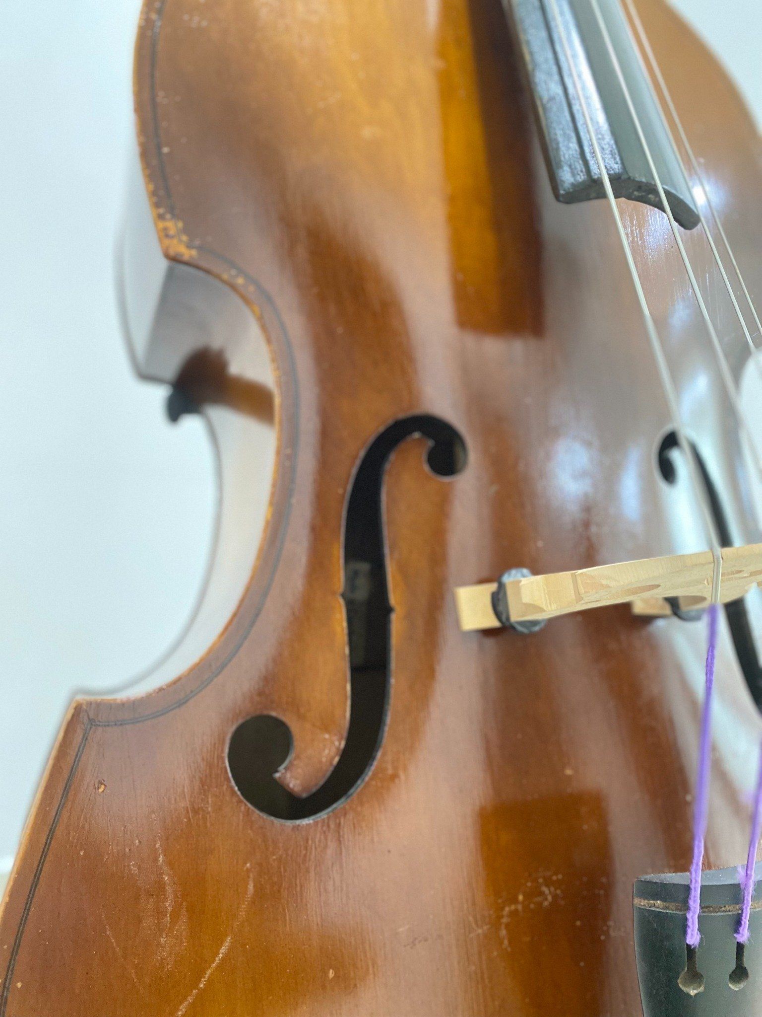 Đàn Contrabass Knooren (Bao gồm Cover, Bow, Rosin, Dây đàn Pirastro, Hộp cứng gỗ)