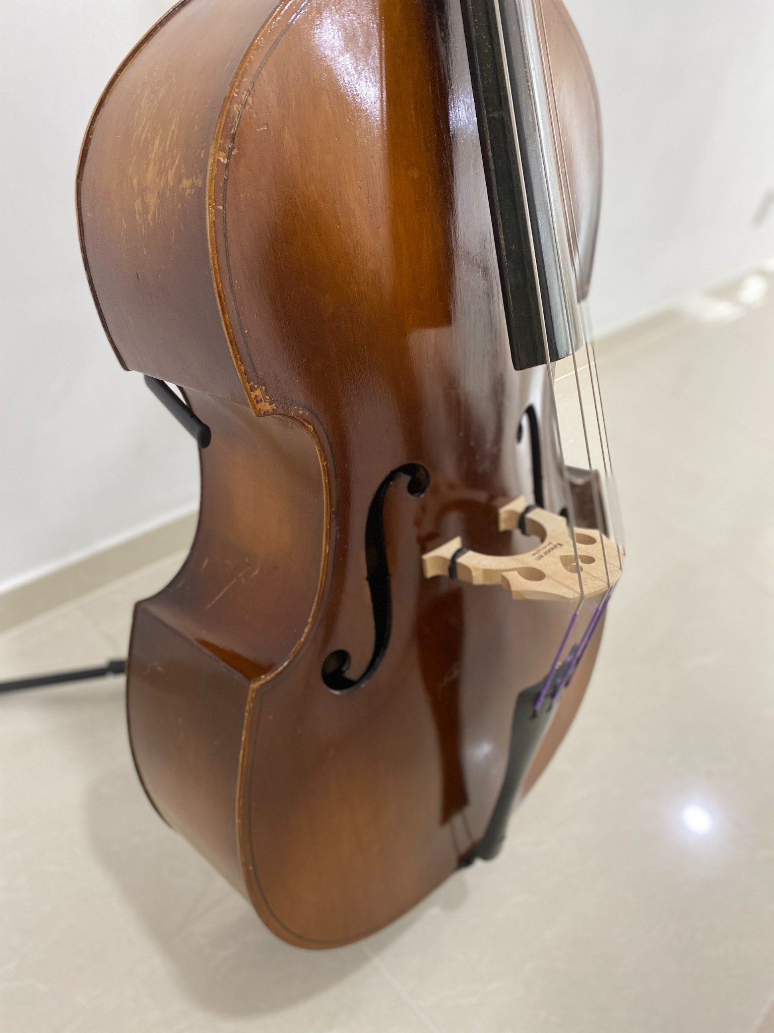 Đàn Contrabass Knooren (Bao gồm Cover, Bow, Rosin, Dây đàn Pirastro, Hộp cứng gỗ)