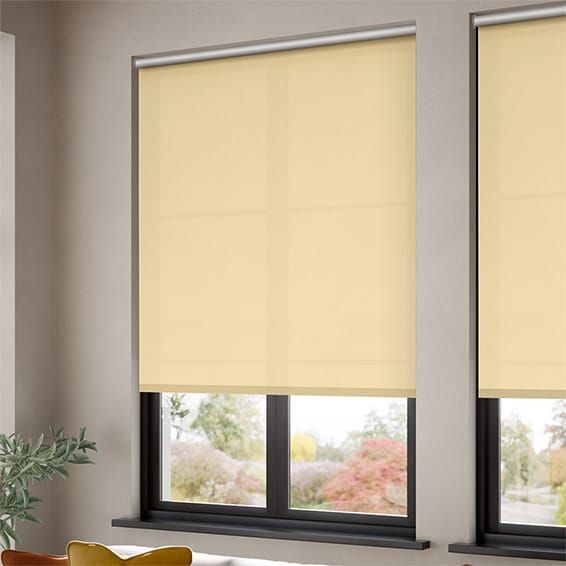 Rèm Cuốn Cản Nắng Star Blinds - Mã C550 C552 C553