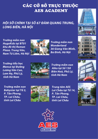 Các địa điểm đào tạo trực thuộc AES ACADEMY