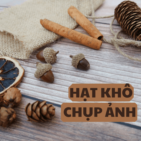 Set Hạt Khô Đủ Loại Chụp Ảnh Vintage