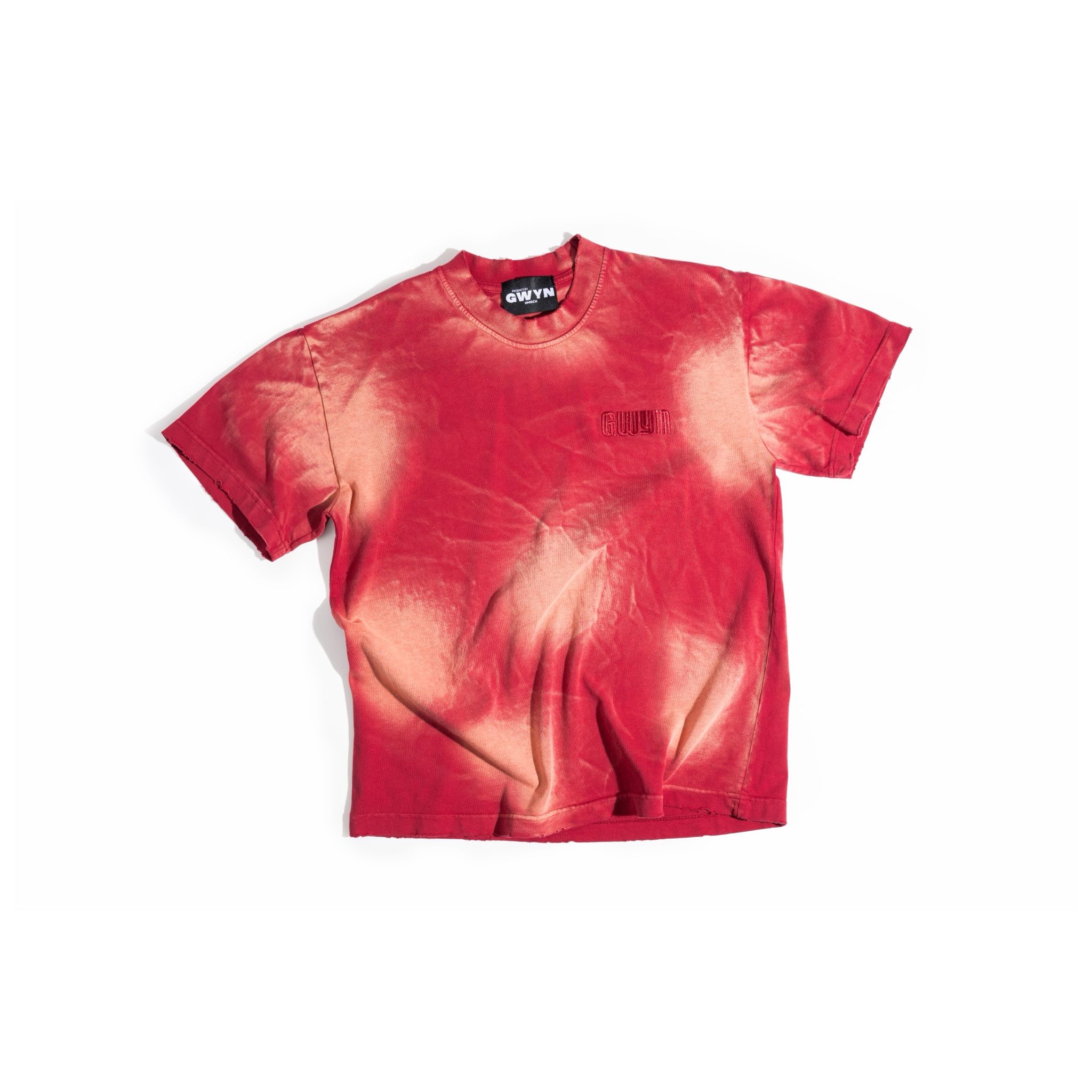 GWYN BLANK BOXY WASH T-SHIRT