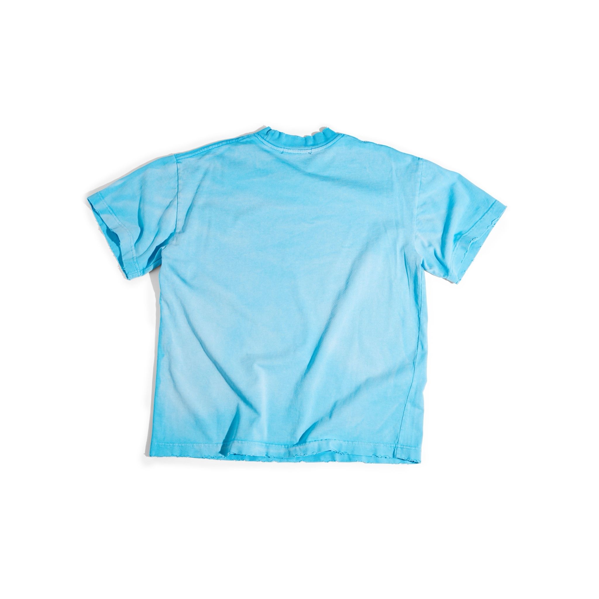 GWYN BLANK BOXY WASH T-SHIRT