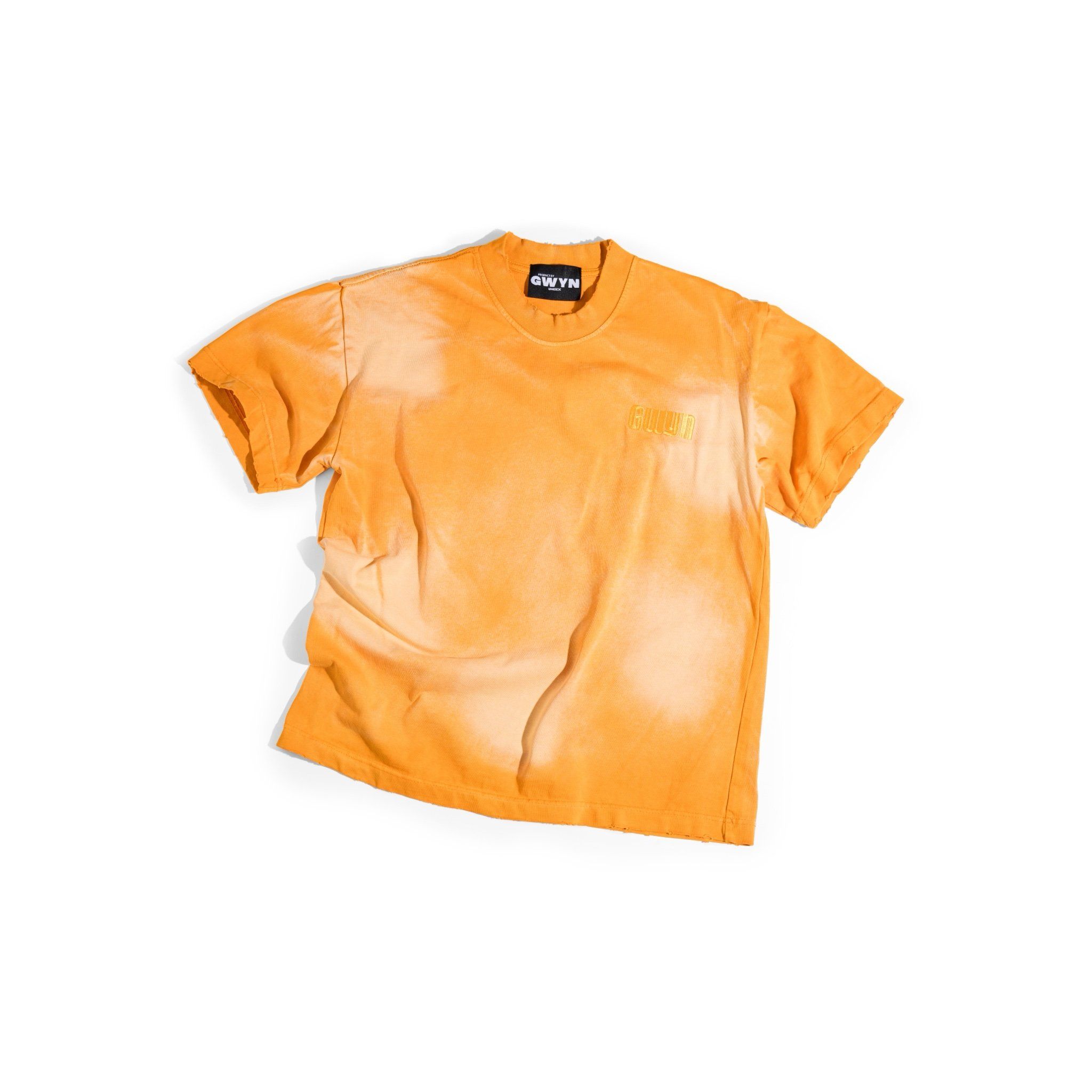 GWYN BLANK BOXY WASH T-SHIRT