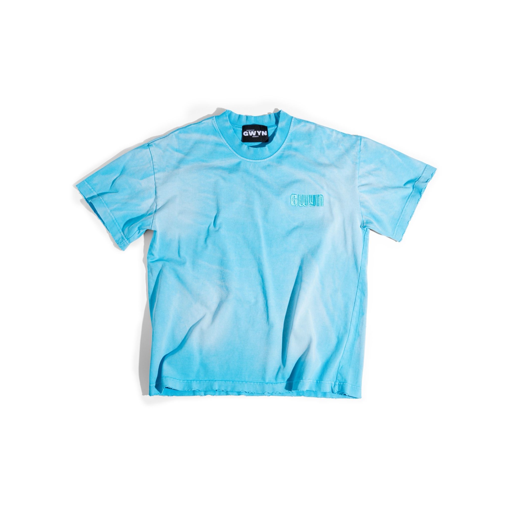 GWYN BLANK BOXY WASH T-SHIRT