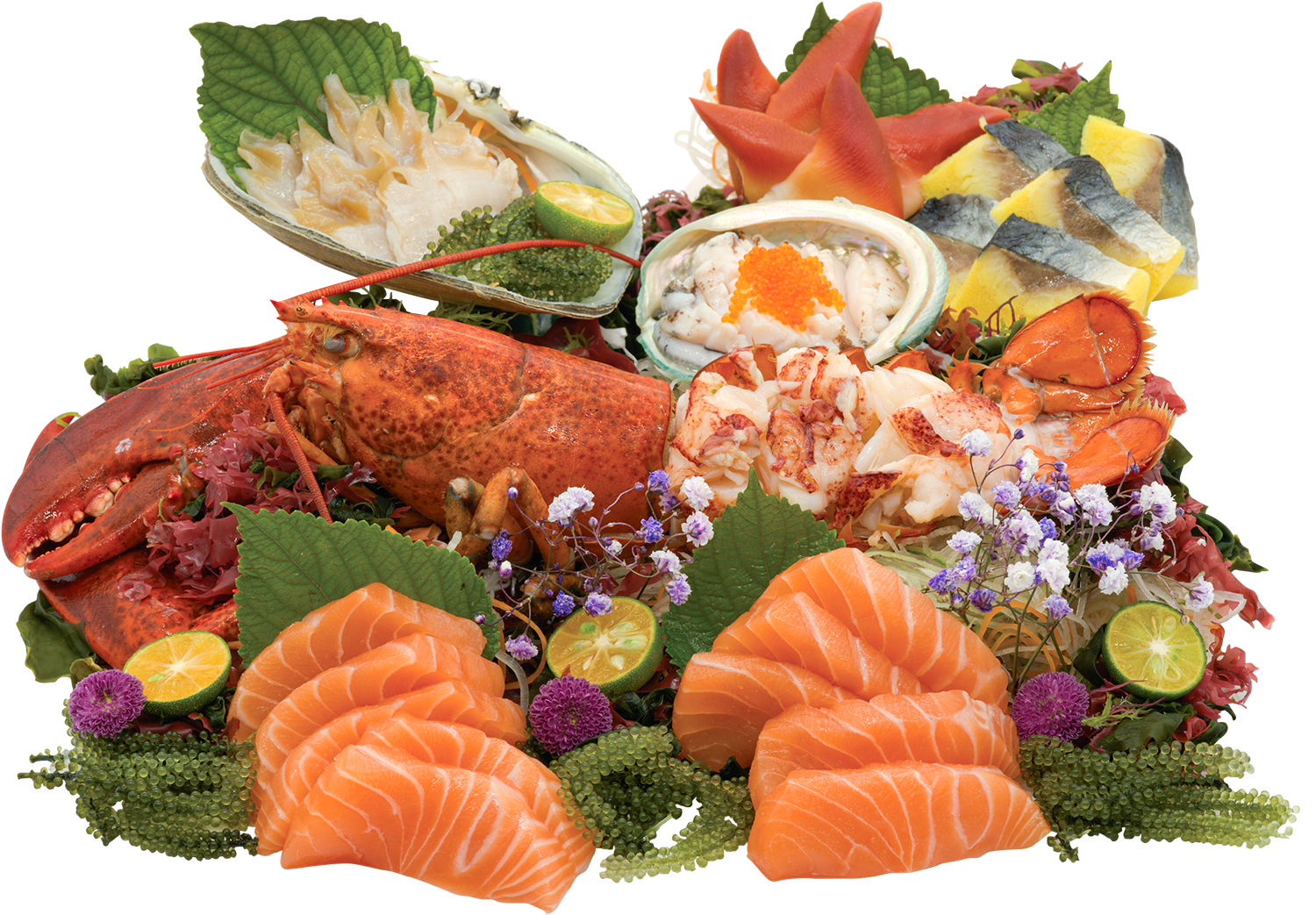 Combo R2: Thượng Phẩm Đại Dương