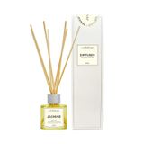 Tinh dầu KT Jasmine 50 ml-JASS50