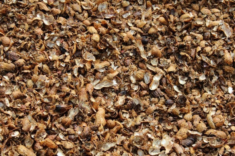 Vỏ đậu phộng bịch 1KG - Giá thể trồng lan cực tốt