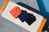 Áo Polo Nam Cotton Trơn Form Slim Fit 2210066