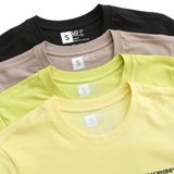 Áo Thun Nam Cotton In Form Regular 2202022-AP