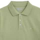 Áo Polo Nam Cotton Thêu Form Slimfit 2209009
