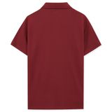 Áo Polo Nam Cotton Thêu Form Slimfit 2211004-TP