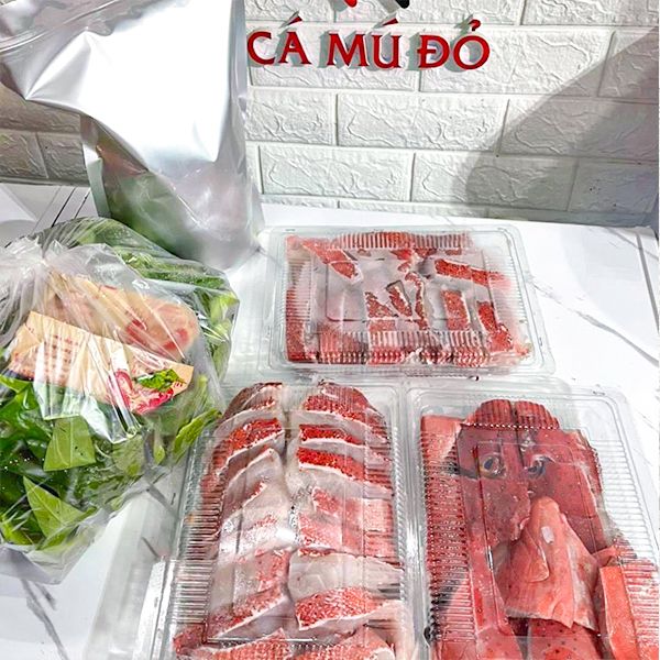  Cá Mú Đỏ Sao Xanh 