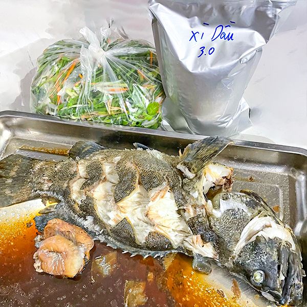  Cá Song Hổ - Cá Mú Cọp (Size 2 - 3kg/con) 